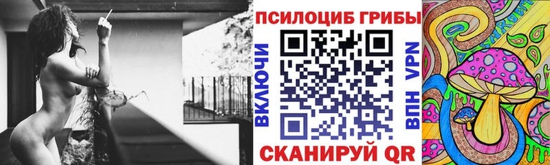 MEGA ссылка  Новый Уренгой  Псилоцибиновые грибы Psilocybe 